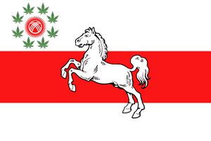Bad flag pantoborg temporary.jpeg