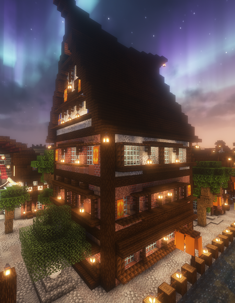 File:Town hall aaranvik.png